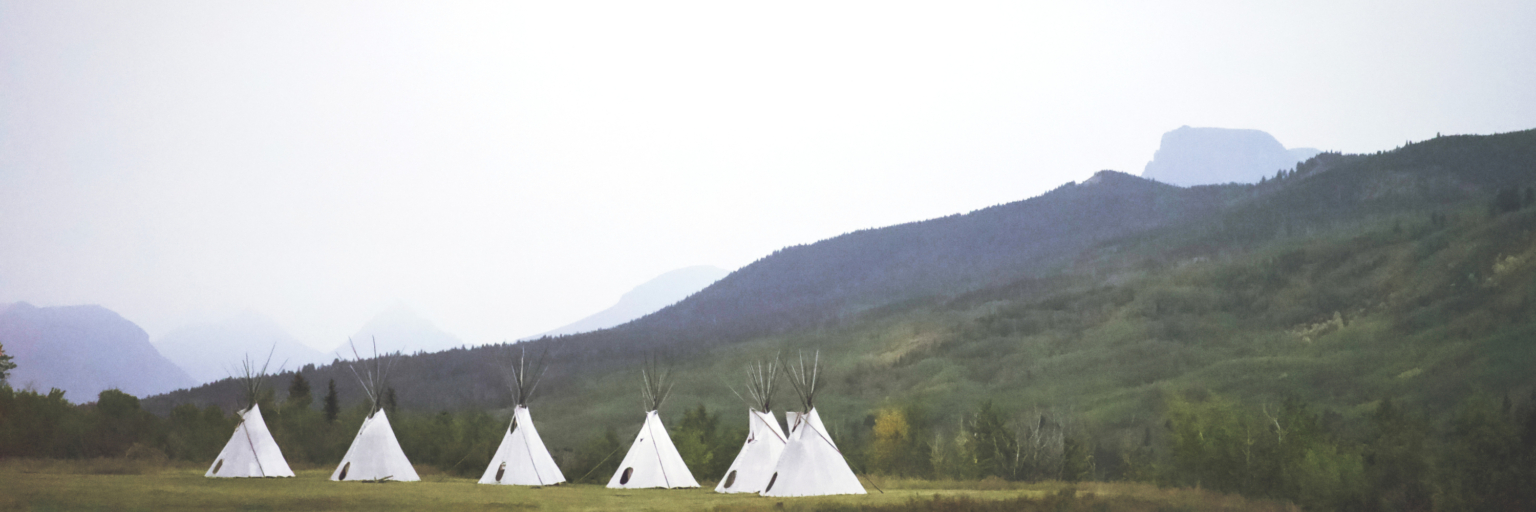 A herd of buffalo newly released on the Blackfeet Nation beneath the Chief Mountain wilderness. In a monumental move for the Blackfeet, this is the first herd to be release dinto the wild since colonization. By Whitney Snow (Blackfeet)